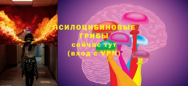 мдпв Балахна