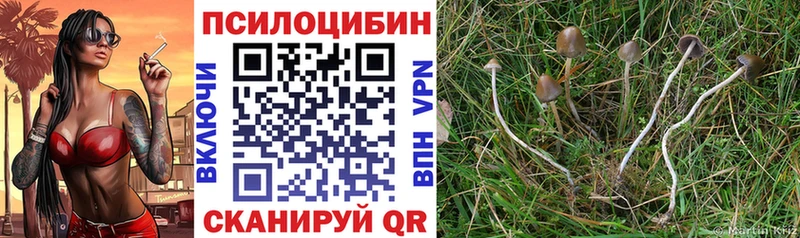 Псилоцибиновые грибы MAGIC MUSHROOMS  Шиханы 
